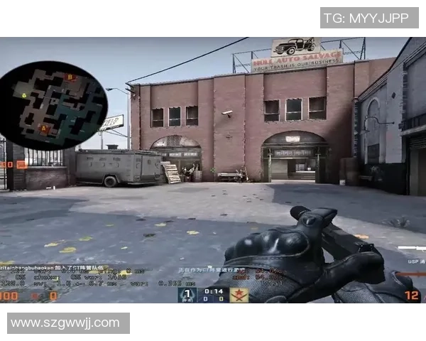 陈丽专访：从新手到高手的CSGO成长之路与心路历程回顾