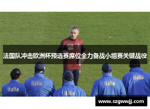法国队冲击欧洲杯预选赛席位全力备战小组赛关键战役