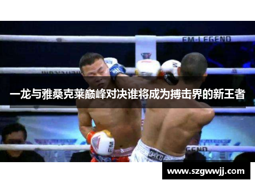 一龙与雅桑克莱巅峰对决谁将成为搏击界的新王者
