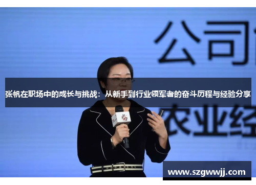 张帆在职场中的成长与挑战：从新手到行业领军者的奋斗历程与经验分享