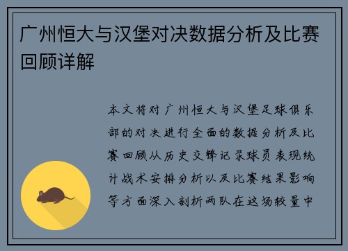广州恒大与汉堡对决数据分析及比赛回顾详解