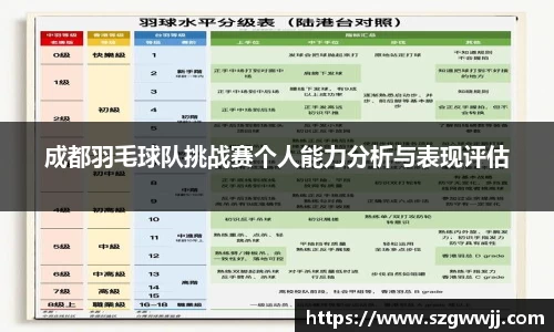 成都羽毛球队挑战赛个人能力分析与表现评估