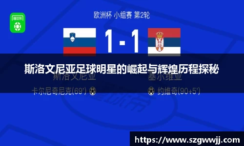斯洛文尼亚足球明星的崛起与辉煌历程探秘